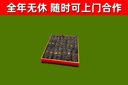 五大连池回收海参
